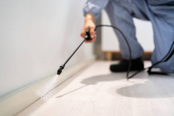 Licensed Termite Control service in Priest River, ID - Show Me Pest Control